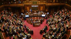 L'Aula del Senato - Foto Ansa/Riccardo Antimiani © www.giornaledibrescia.it