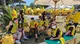La tenuta presidenziale di Castelporziano a Roma dove si sta svolgendo la festa di Coldiretti