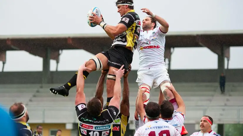 Calvisano - Valorugby