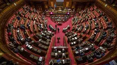 Una panoramica dell'emiciclo del Senato - Foto Ansa/Antonio Masiello © www.giornaledibrescia.it
