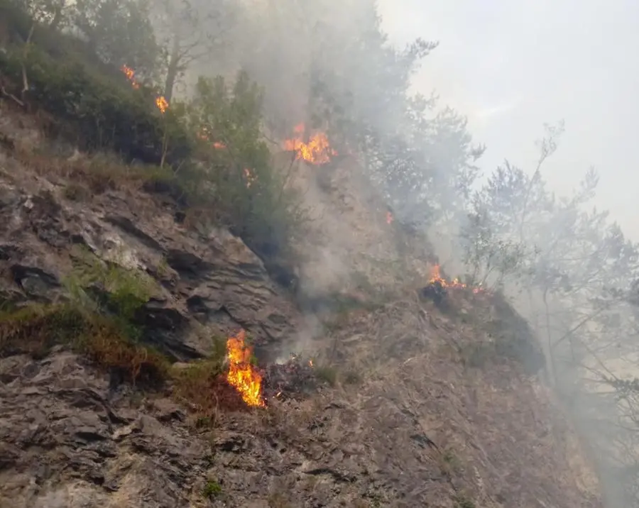L'incendio boschivo nei boschi sopra Valvestino