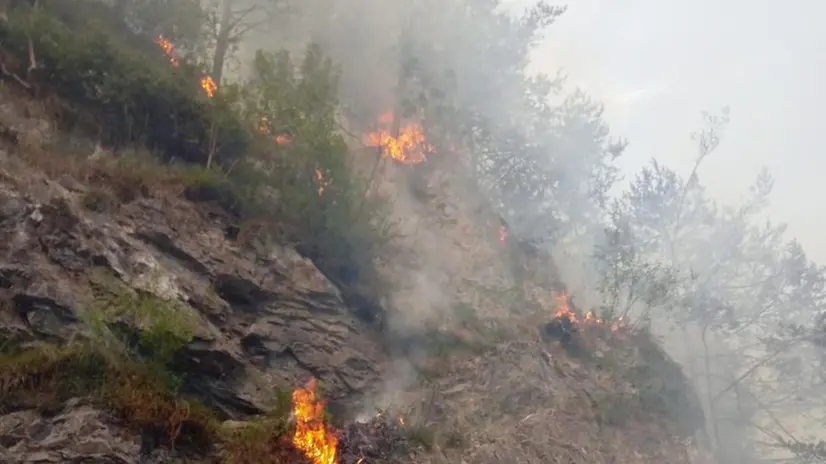 L'incendio boschivo nei boschi sopra Valvestino
