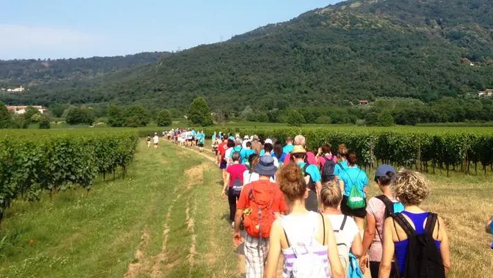 Camminatori tra i vigneti della Franciacorta in una passata edizione del Festival