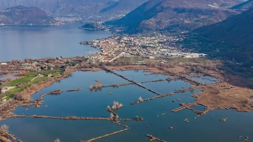 Riserva naturale: l'oasi minacciata da più parti se non tutelata