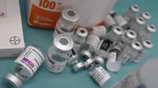 Fiale ormai vuote di differenti vaccini anti-Covid - Foto Ansa © www.giornaledibrescia.it