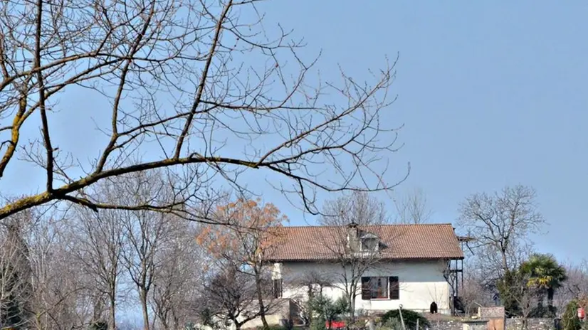 Monte Netto. Filari lungo la Strada dei vini dei Colli Longobardi