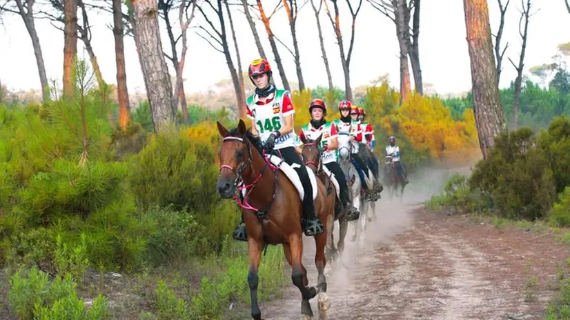 Ragazze impegnate in una gara di endurance equestre (foto d'archivio)