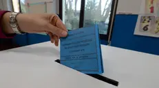 Un voto al referendum consultivo bresciano sul servizio idrico integrato nel 2018 - Foto Marco Ortogni/Neg © www.giornaledibrescia.it