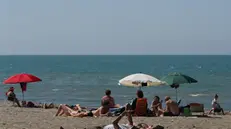 Bagnanti in spiaggia sul Lido di Castel Porziano e Ostia
