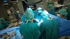 Un intervento in una sala chirurgica - Foto Ansa  © www.giornaledibrescia.it