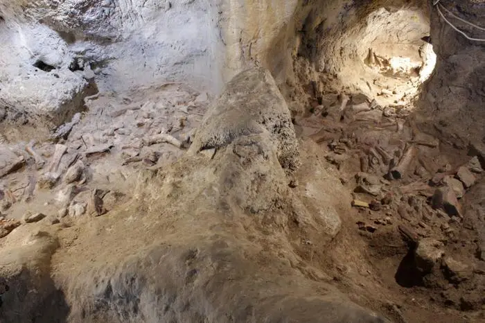 Sul Circeo trovati 9 resti di uomini di Neanderthal