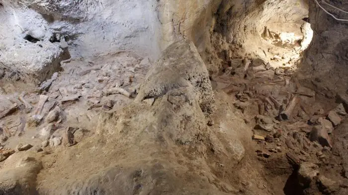 Sul Circeo trovati 9 resti di uomini di Neanderthal