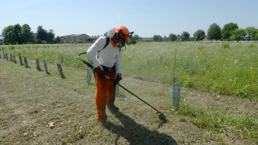 Campionamenti dell'Ersaf per rilevare Pcb nella zona di via Rose, vicino alla Caffaro - Foto Marco Ortogni/Neg © www.giornaledibrescia.it