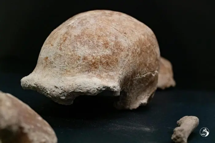 Sul Circeo trovati 9 resti di uomini di Neanderthal