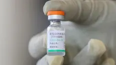 Uno dei vaccini cinesi, esportati anche in molti altri Paesi - Foto Epa © www.giornaledibrescia.it