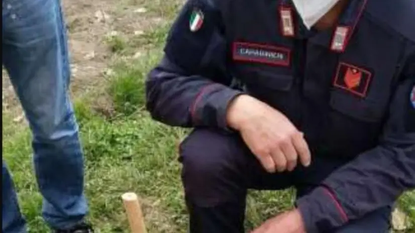 Carabinieri e studenti al lavoro Foto © www.giornaledibrescia.it