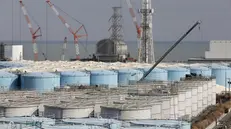 La spianata multilivello di migliaia di serbatoi a Fukushima