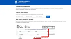 Il portale per il pagamento online delle sanzioni della Locale è di nuovo attivo sul sito della Loggia - © www.giornaledibrescia.it