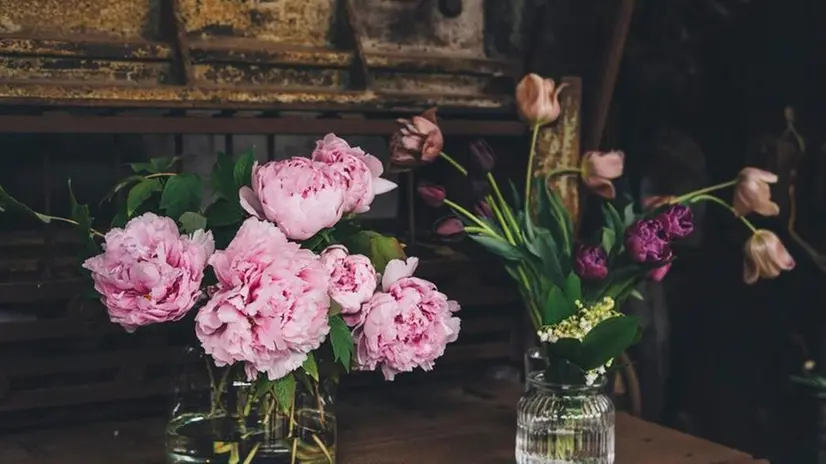 Fiori e composizioni della flower farm