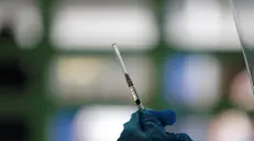 Prosegue la ricerca sui vaccini, soprattutto per trovare soluzioni low cost