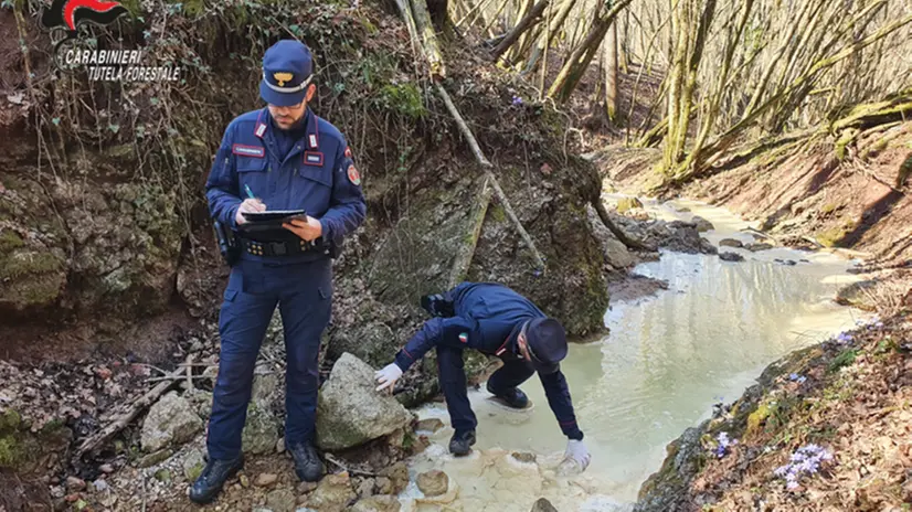 L'indagine dei carabinieri forestali ha portato al quarto sequestro in un anno nella stessa zona