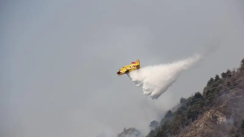 Tignale, domate le fiamme nei boschi dell'Alto Garda