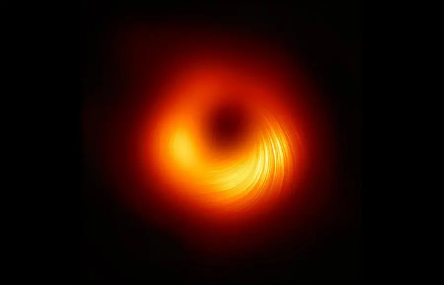 L'immagine del buco nero al centro della galassia M87 in luce polarizzata