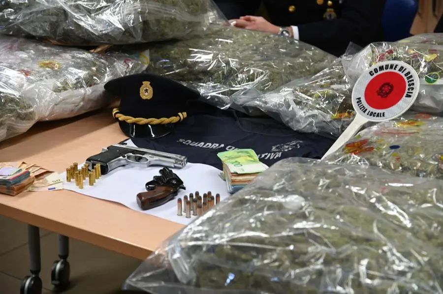 La Polizia locale di Brescia sequestra 24 chili di marijuana
