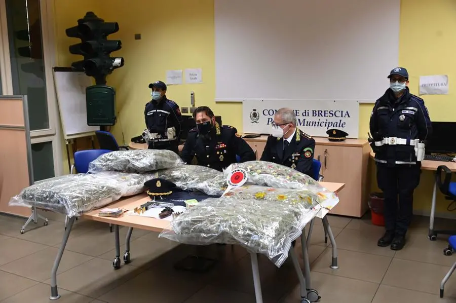 La Polizia locale di Brescia sequestra 24 chili di marijuana