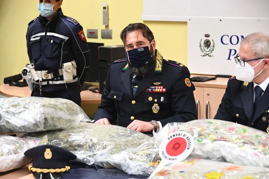 La Polizia locale di Brescia sequestra 24 chili di marijuana