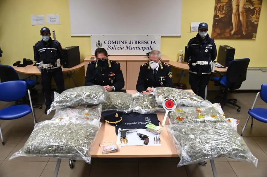 La Polizia locale di Brescia sequestra 24 chili di marijuana