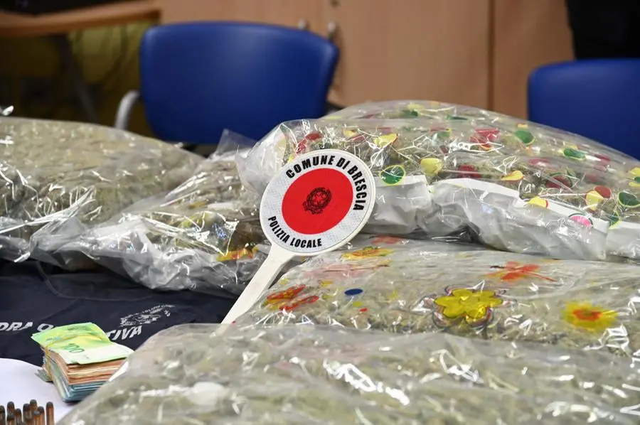 La Polizia locale di Brescia sequestra 24 chili di marijuana