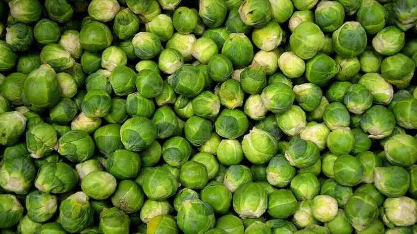 Cavoletti di Bruxelles
