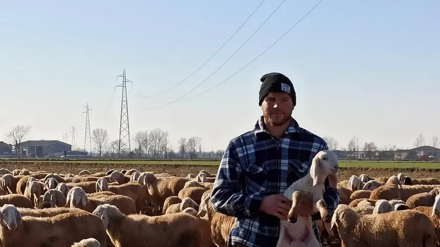 Matteo Ruggeri, 24 anni, allevatore di ovini della Bassa - © www.giornaledibrescia.it