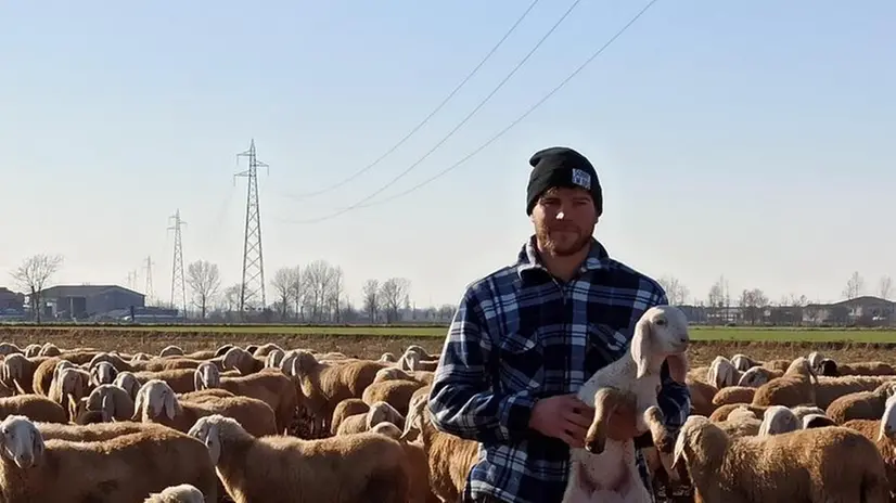 Matteo Ruggeri, 24 anni, allevatore di ovini della Bassa - © www.giornaledibrescia.it