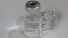 Un flacconcino del vaccino anti-Covid di Pfizer-BioNTech - Foto Epa © www.giornaledibrescia.it