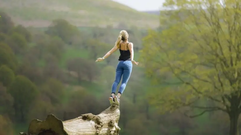 Resilienza: nell’ambito della psicologia indica la capacità reattiva di una persona