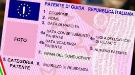 L'uomo è stato denunciato dagli agenti della Locale - Foto © www.giornaledibrescia.it