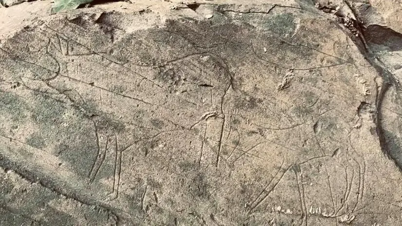 La roccia istoriata scoperta dall’archeologo camuno - © www.giornaledibrescia.it