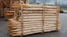 Pali di legno per sostenere gli alberi (simbolica) - © www.giornaledibrescia.it