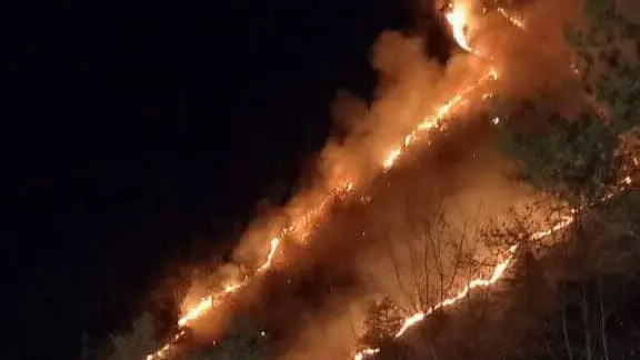 Incendio nei boschi a Tignale - Foto © www.giornaledibrescia.it