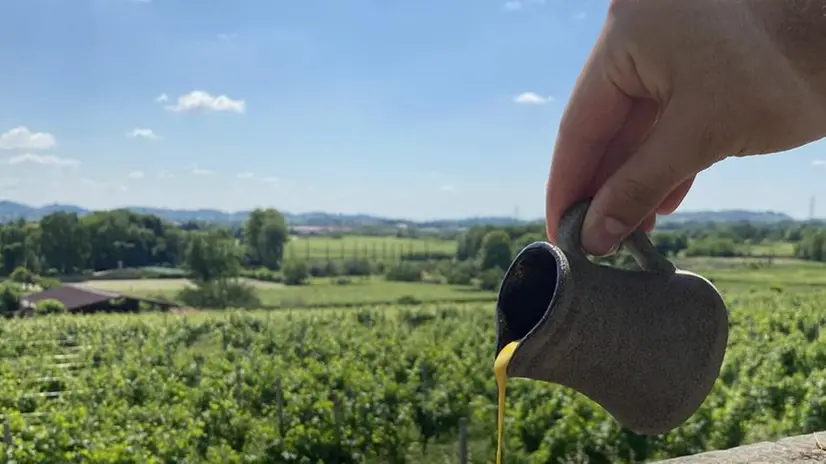 Battuta di scamone, cipolle, gel di tuorlo e salsa carbonara