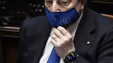 Mario Draghi alla Camera
