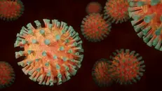 Coronavirus, molte le varianti già isolate e note - © www.giornaledibrescia.it