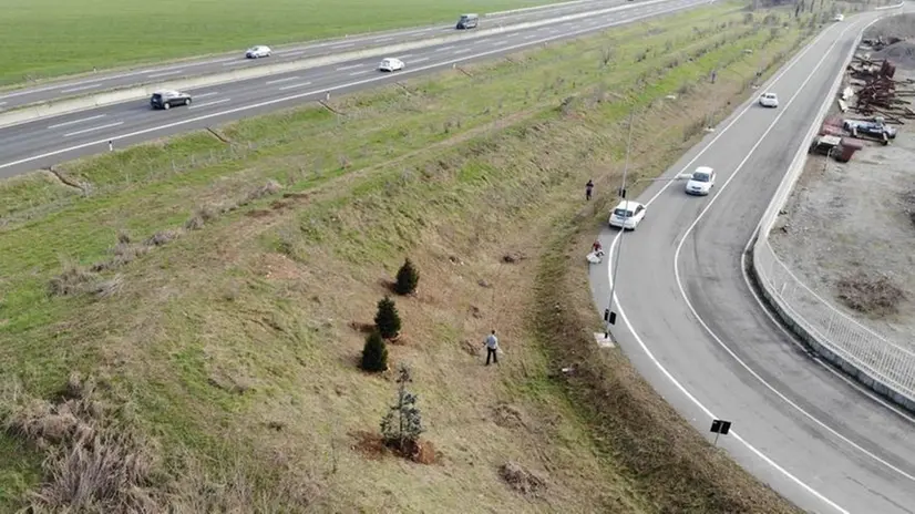 Una zona del paese è stata pulita e sono stati piantati alberi - Foto © www.giornaledibrescia.it