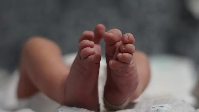 Da inizio anno sono nati all'ospedale di Esine un centinaio di bambini