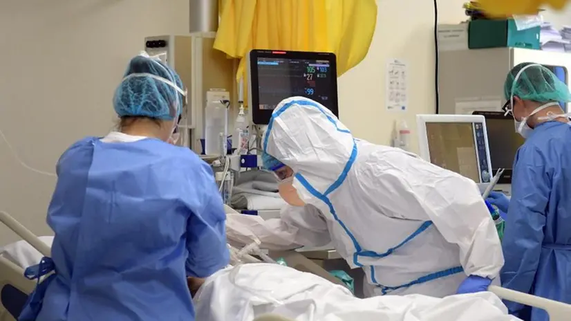 Medici assistono un paziente in terapia intensiva - Foto Ansa/Andrea Canali