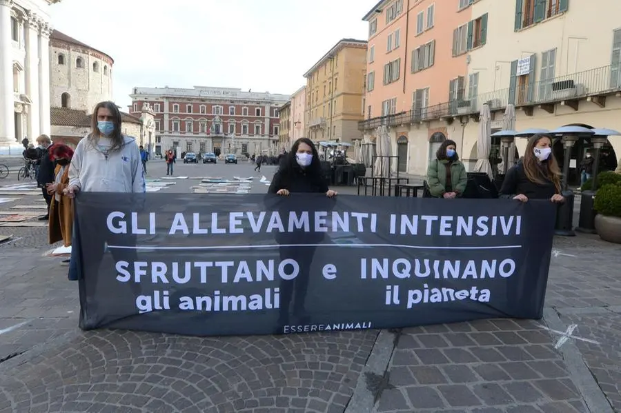 In piazza per il clima