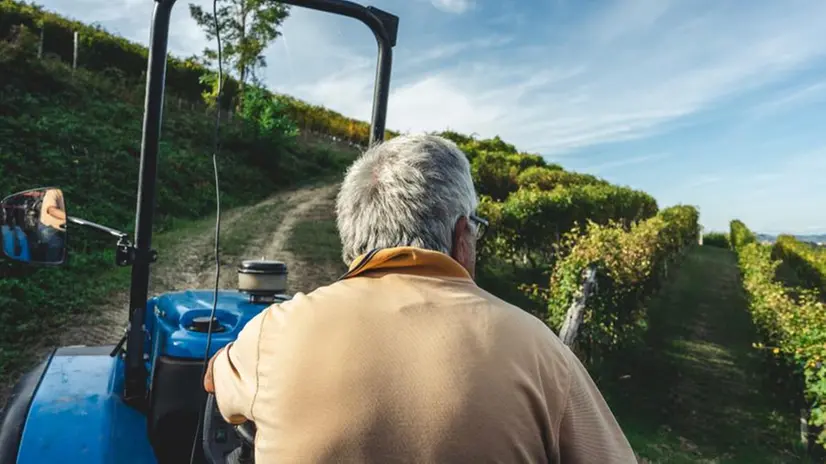 Ci sono bandi dell'Unione europea a sostegno dell'agricoltura