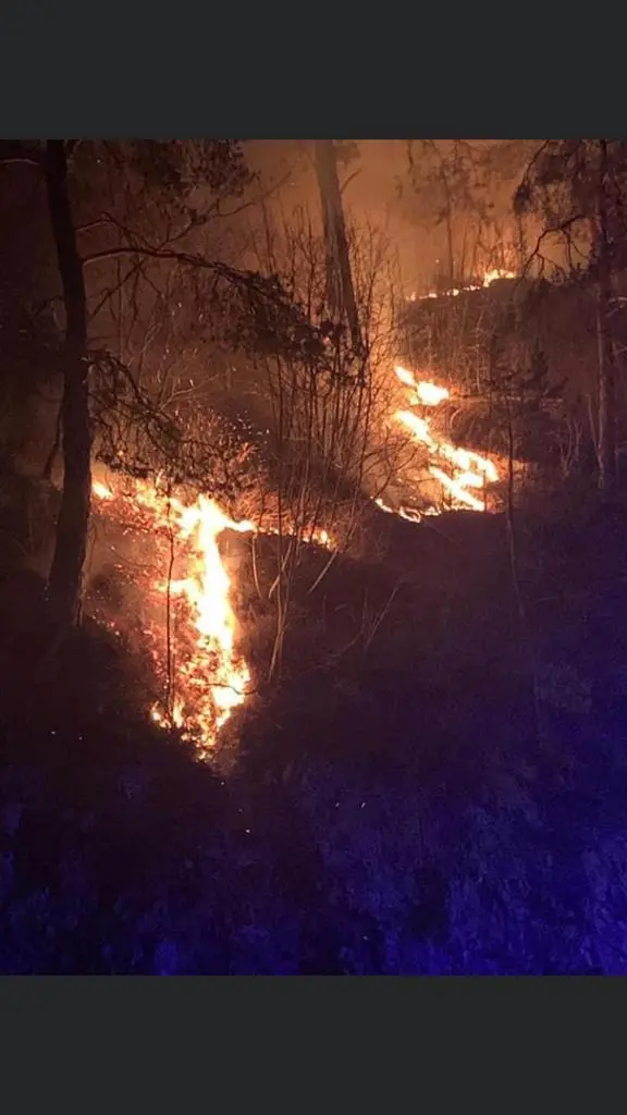 Le fiamme stanno divorando il bosco a Tignale - © www.giornaledibrescia.it